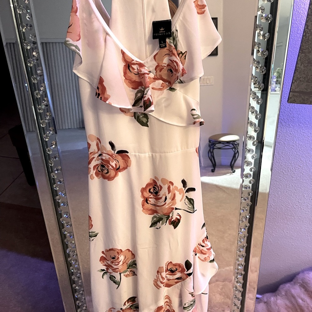 Disney princess dress